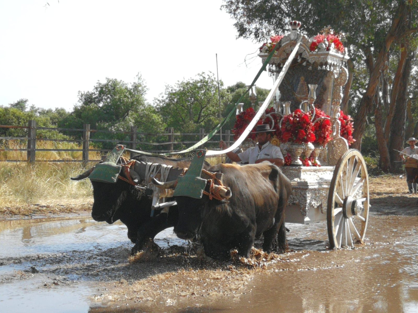 Carreta Espartinas llegando a terreno de Villamanrique