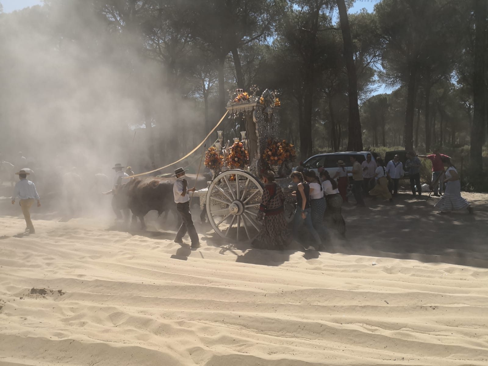 Carreta de Espartinas por la Raya Real 2019